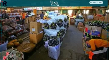 أسعار الخضار والفاكهة السبت 25-10-2025 في منافذ المجمعات الاستهلاكية